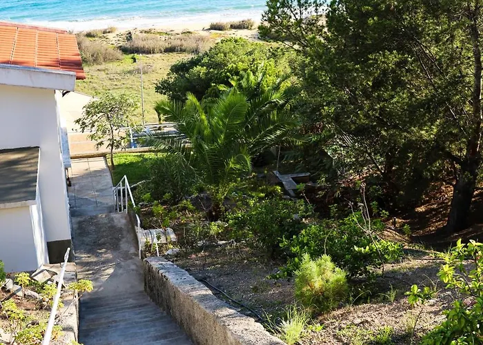 Seashore - * Porto Santo